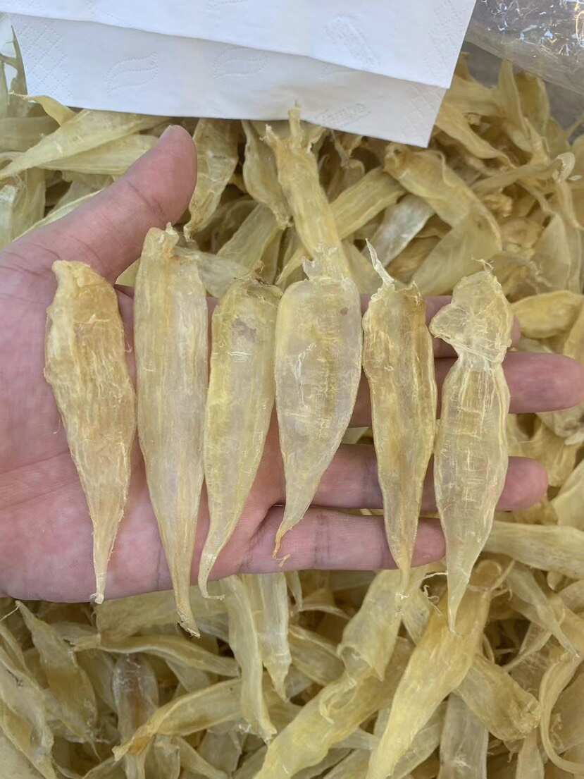 鱼胶花胶 豆仁胶黄花胶大量批发