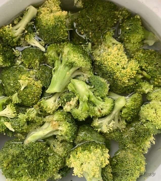 甘肃玉门西蓝花种植产业园 玉门花海西蓝花产业基地 玉门产区