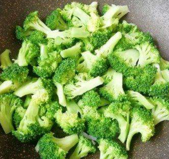 甘肃玉门西蓝花种植产业园 玉门花海西蓝花产业基地 玉门产区