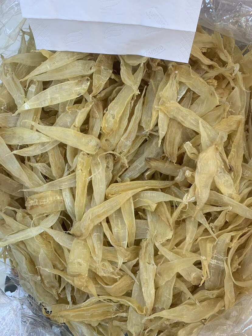 鱼胶花胶 豆仁胶黄花胶大量批发