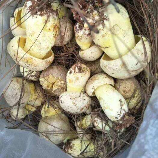 什么都有，就是缺客户
