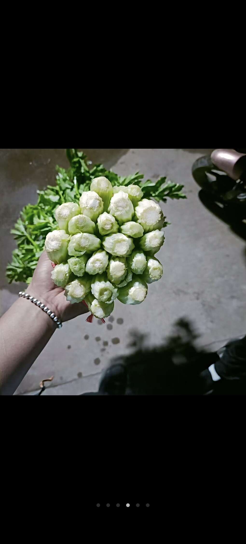 毛芹，松花，甘蓝