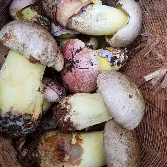 什么都有，就是缺客户