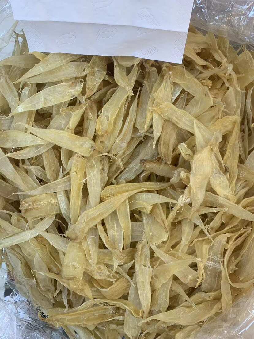 鱼胶花胶 豆仁胶黄花胶大量批发