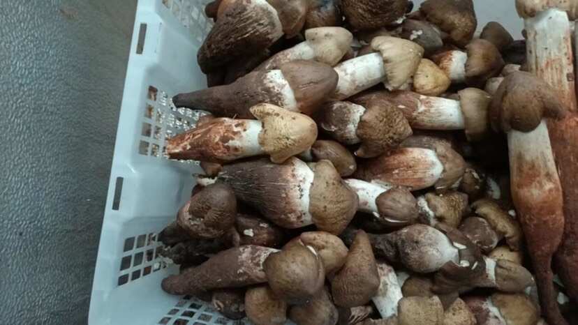 什么都有，就是缺客户