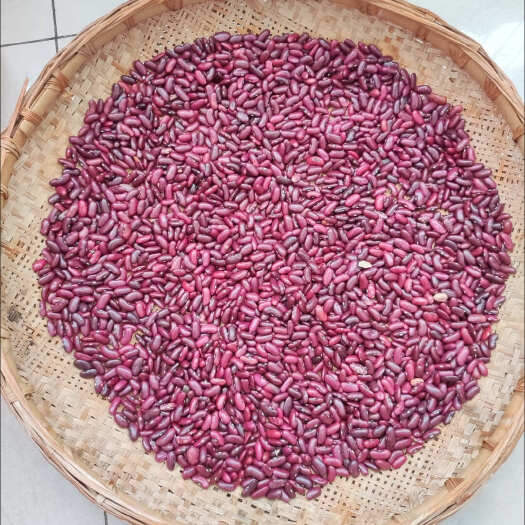 安宁市当季新豆云南本地红腰豆批发红腰豆商用红豆豆子批发