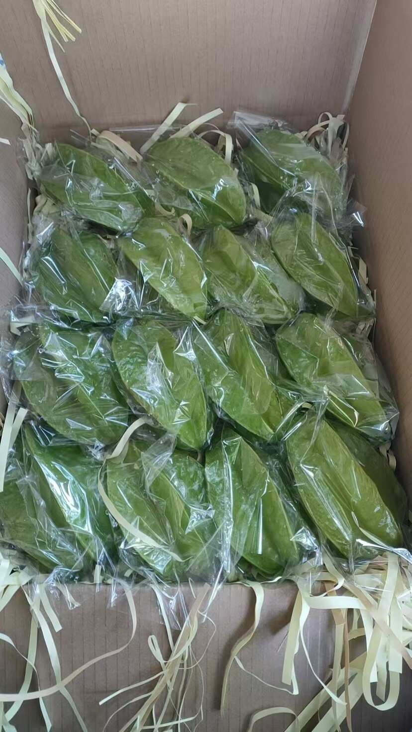 香蜜杨桃 广东湛江廉江产地直发 热带水果新鲜杨桃