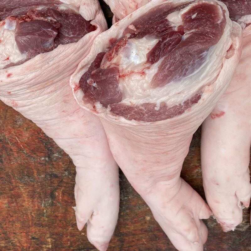 猪蹄膀猪肘子猪腿