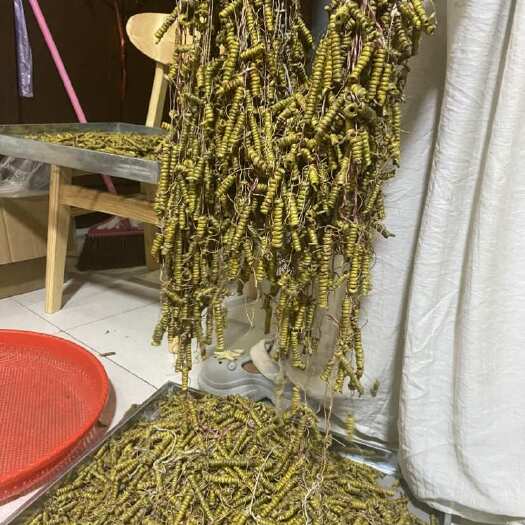 霍山县龙头凤尾