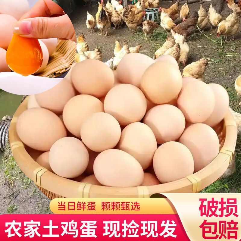 土鸡蛋  山上放养  吃五谷杂粮长大  黄心  没有色素
