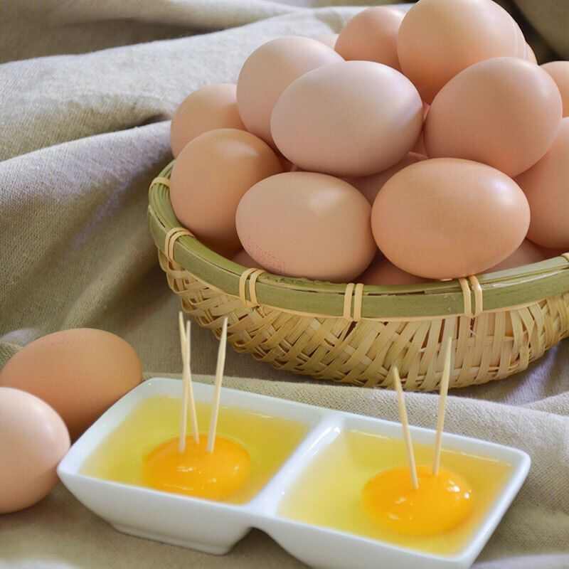 土鸡蛋  山上放养  吃五谷杂粮长大  黄心  没有色素