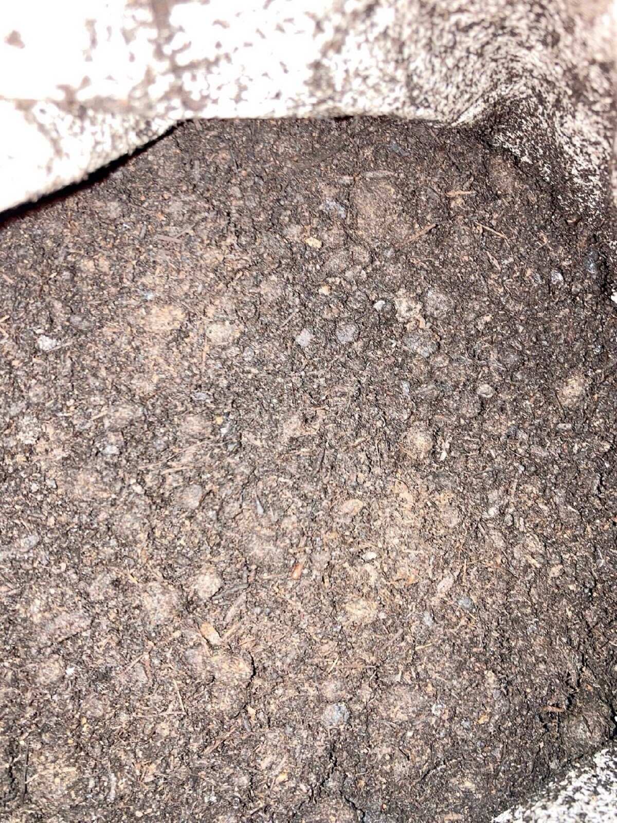 发酵纯蘑菇渣菌菇渣不带土