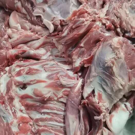 羊肉，去骨大羊板肉，精修羊肉，全羊板肉带肋条前腿后腿肉