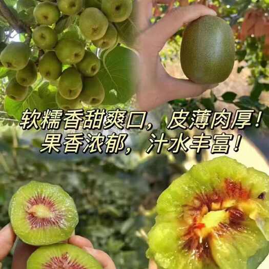 凤凰县猕猴桃  软糯香甜爽口  皮薄肉厚  果香浓郁  汁水丰富