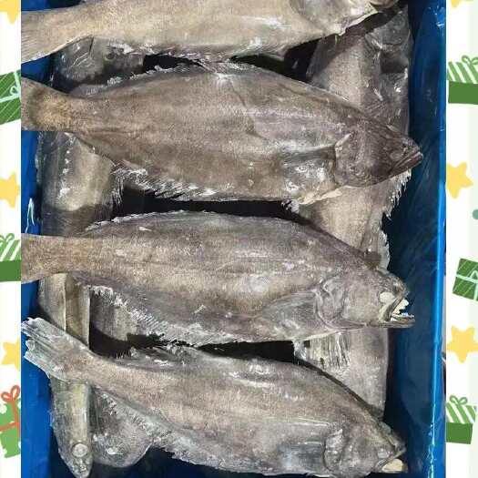 临沂整条鲽鱼