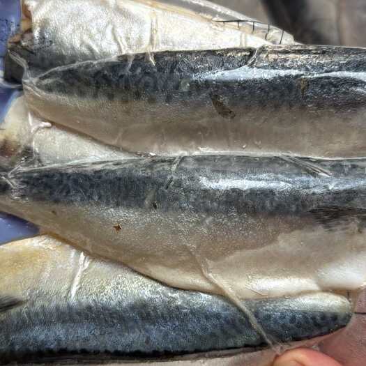 鲐鱼片去刺去骨青花鱼片香煎鲐鲅鱼柳鲅鱼片