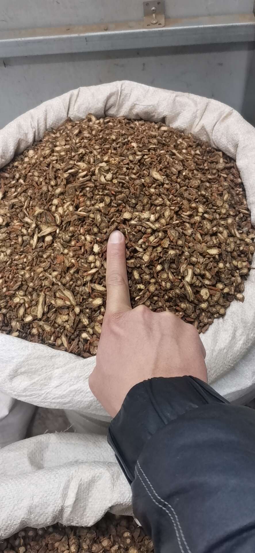 正品山东丹参片紫丹参 丹参个【假一赔十】