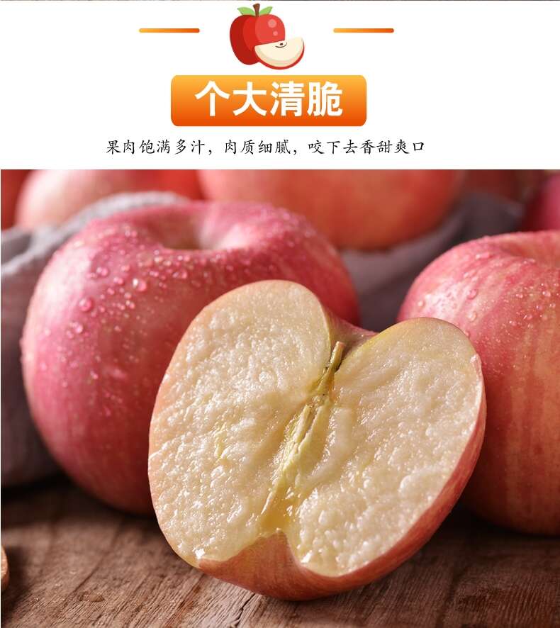 红富士苹果常年供应 脆甜多汁 新鲜水果批发冰糖心苹果