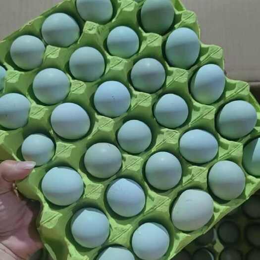 武汉绿壳，粉壳土鸡蛋