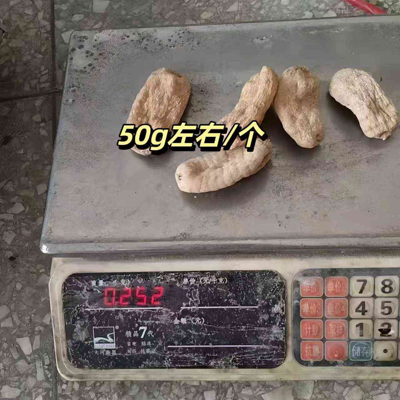 彝良县昭通小草坝乌天麻20头全干货 源头直供 量大优惠