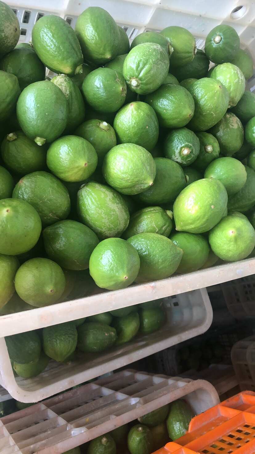 广东香水柠檬产地直销