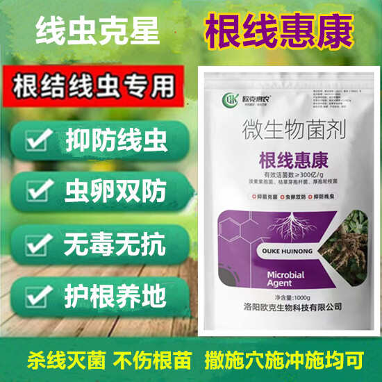 宜阳县根线惠康线虫病根结线虫生物制剂西红柿黄瓜西瓜线虫病防治