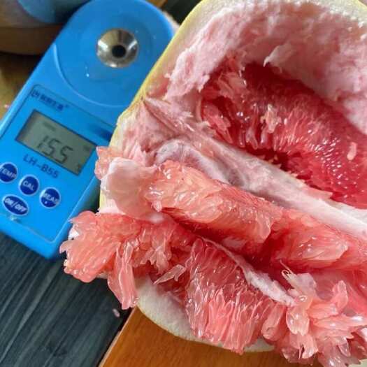 平和县福建漳州平和三红柚红柚.9.1号即将开园了