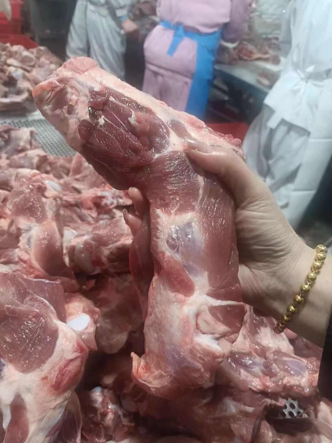 多肉整根前腿骨