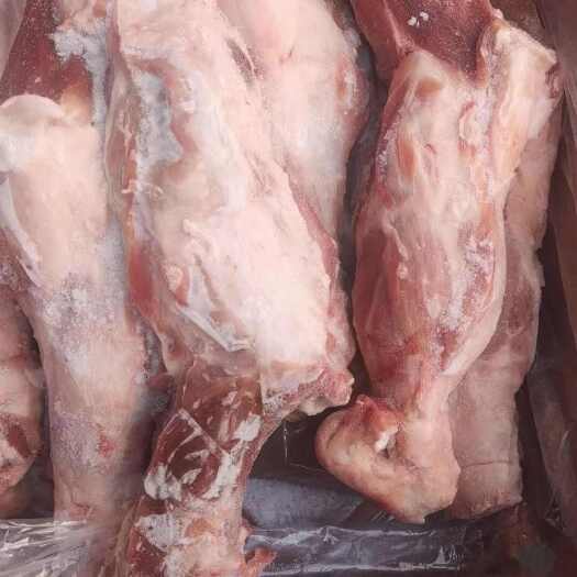 多肉整根前腿骨