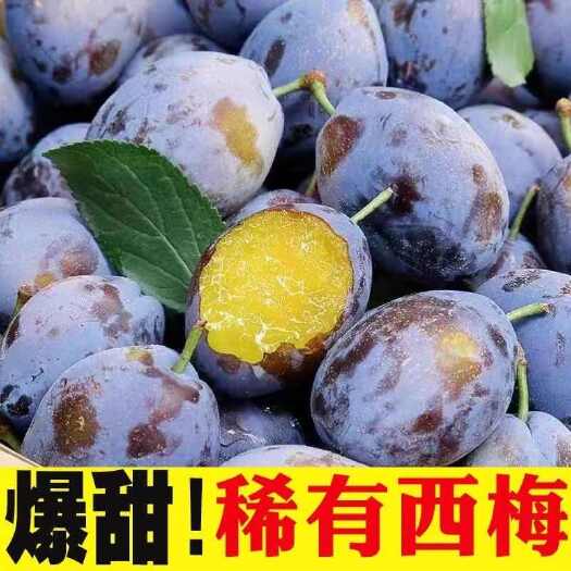 广州【果园直发】新疆大西梅新鲜法兰西梅新鲜水果甜西梅批发包邮