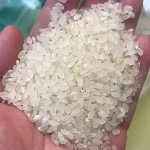 沈阳沈阳食堂米就是价格美丽常年有货稳定供应
