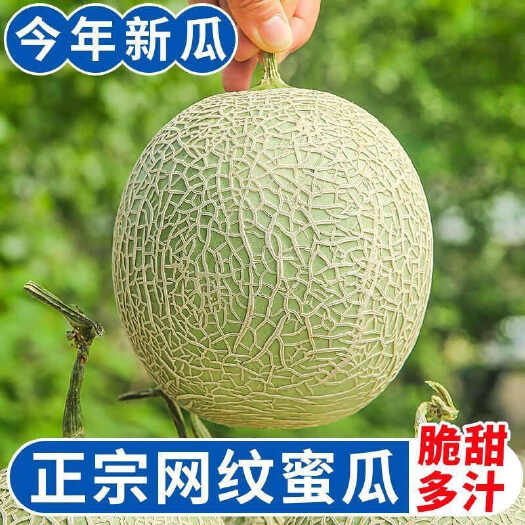 青州市鱼蛋白生根壮苗农用正品原装水溶肥