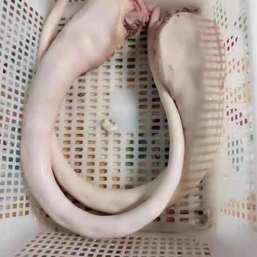 汕头鲜牛尾