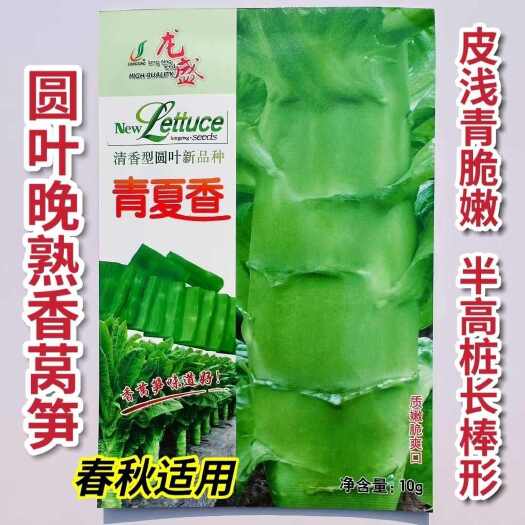 沭阳县青夏香浓香型圆叶莴笋种子农家春秋播种脆爽莴苣苔种籽蔬菜种子籽