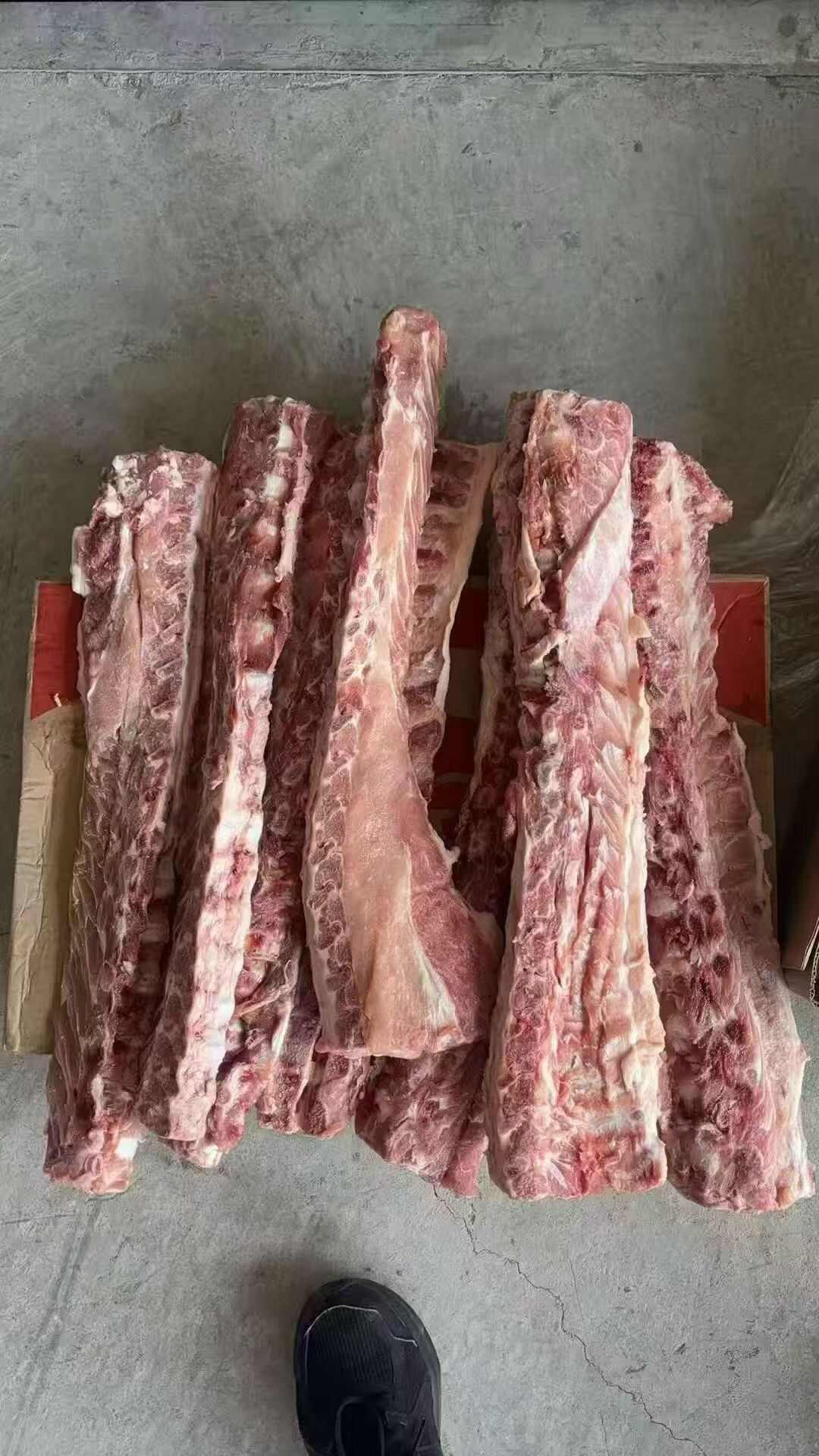 3237龙骨