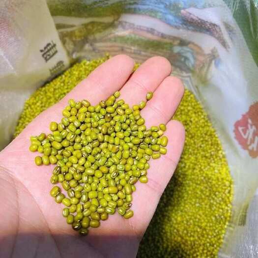 曲阜市小颗粒明绿豆25kg绿豆50斤商用 煮粥熬绿豆汤好煮易烂量大