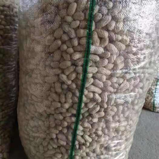 老河口市白沙精选果，中花精选果，产地直发