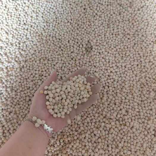 广州优质俄罗斯干豌豆粮油米面豆类作物批发