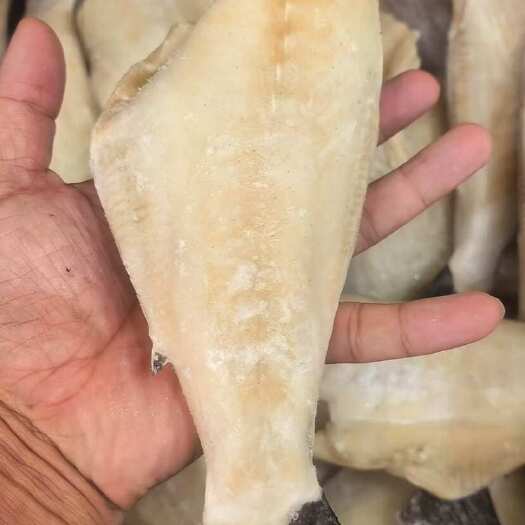 连云港三去马面鱼扒皮鱼橡皮鱼大耗儿鱼免处理海鲜批发海鱼去皮马面鱼