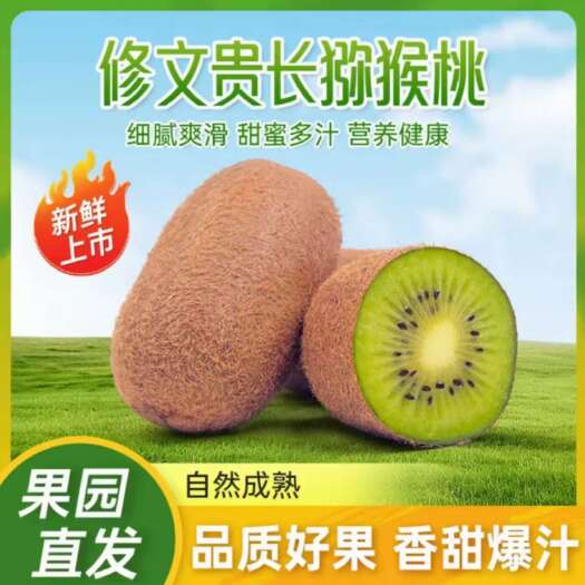 修文县贵州修文贵长猕猴桃 新鲜水果浆果类 产地直发