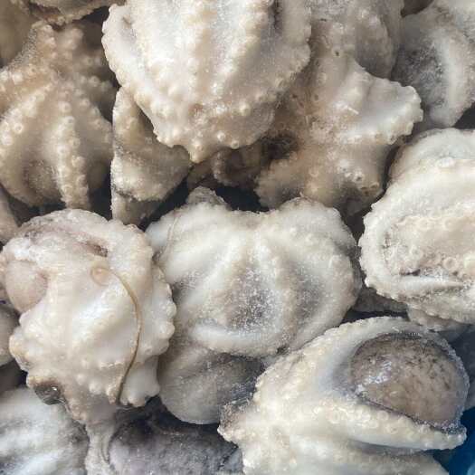 连云港三去八爪鱼一口章鱼口感脆爽小章鱼小八爪海鲜批发免处理海鱼