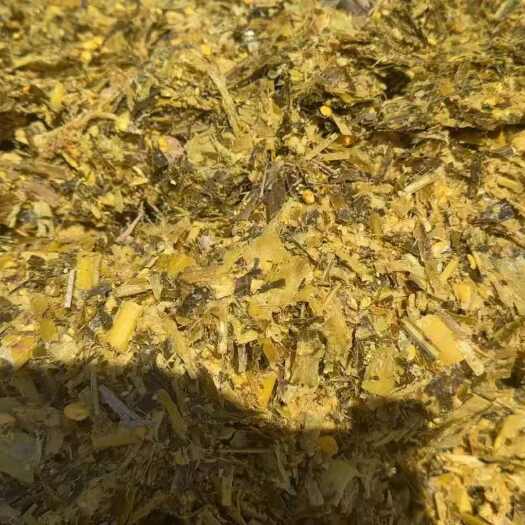 呼和浩特散装全珠青贮