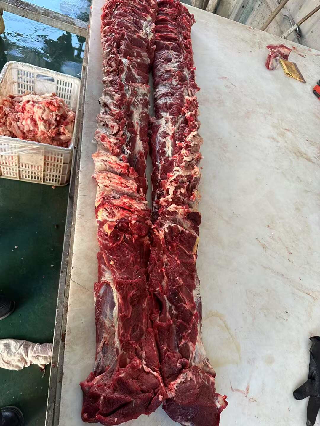 牛肉 纯干鲜牛肉 每天屠宰 冰鲜发货