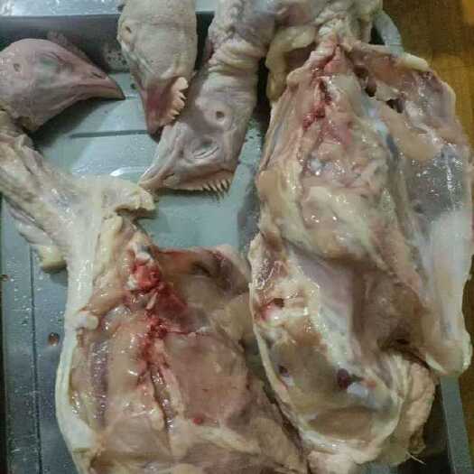 保定带头带尾鸡架，按需加工鸡腿，鸡翅，鸡胸，鸡爪，鸡背肉去骨切块