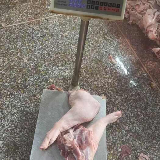 东莞市中小猪手铮