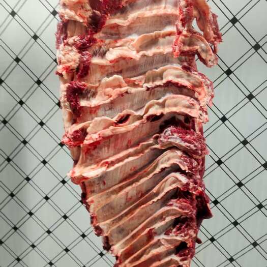 济南牛肉 纯干鲜牛肉 每天屠宰 冰鲜发货