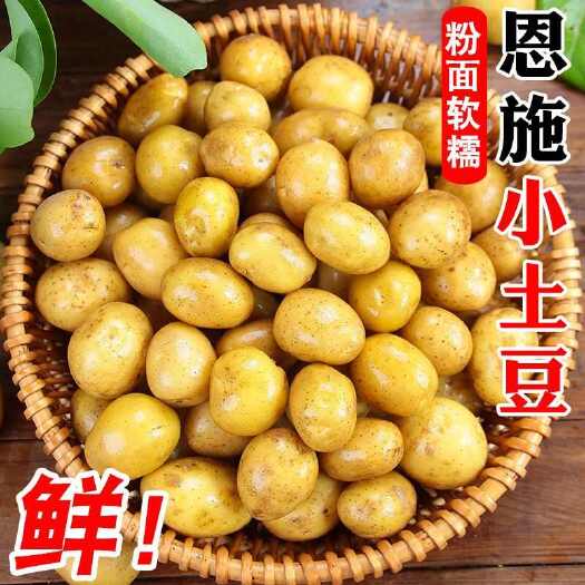 恩施市【恩施小土豆】现挖恩施迷你黄皮黄心粉糯富硒马铃薯洋芋