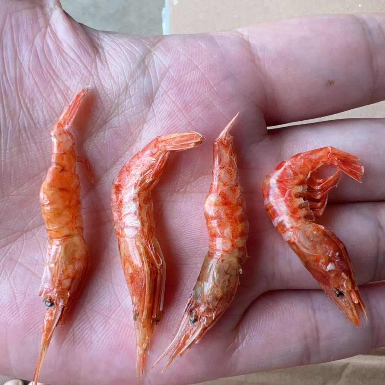 樱花虾干 地摊电商批发红虾烘干虾樱花虾干干虾河虾干