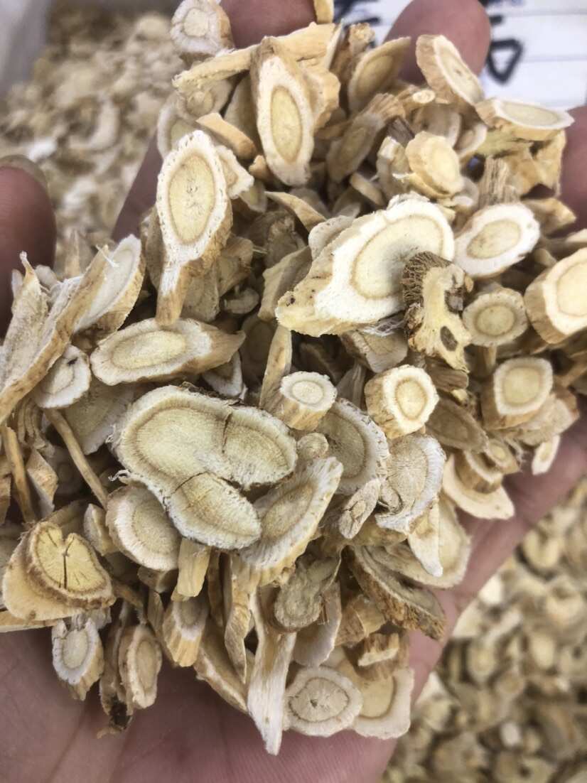 甘肃岷县黄芪统片快递包邮