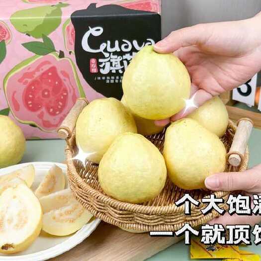 温岭市顺丰旗芭奶油白心芭乐软糯香甜细嫩丝滑绵软清甜广西自然熟冰淇淋